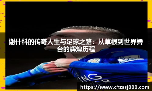 BB贝博登录入口